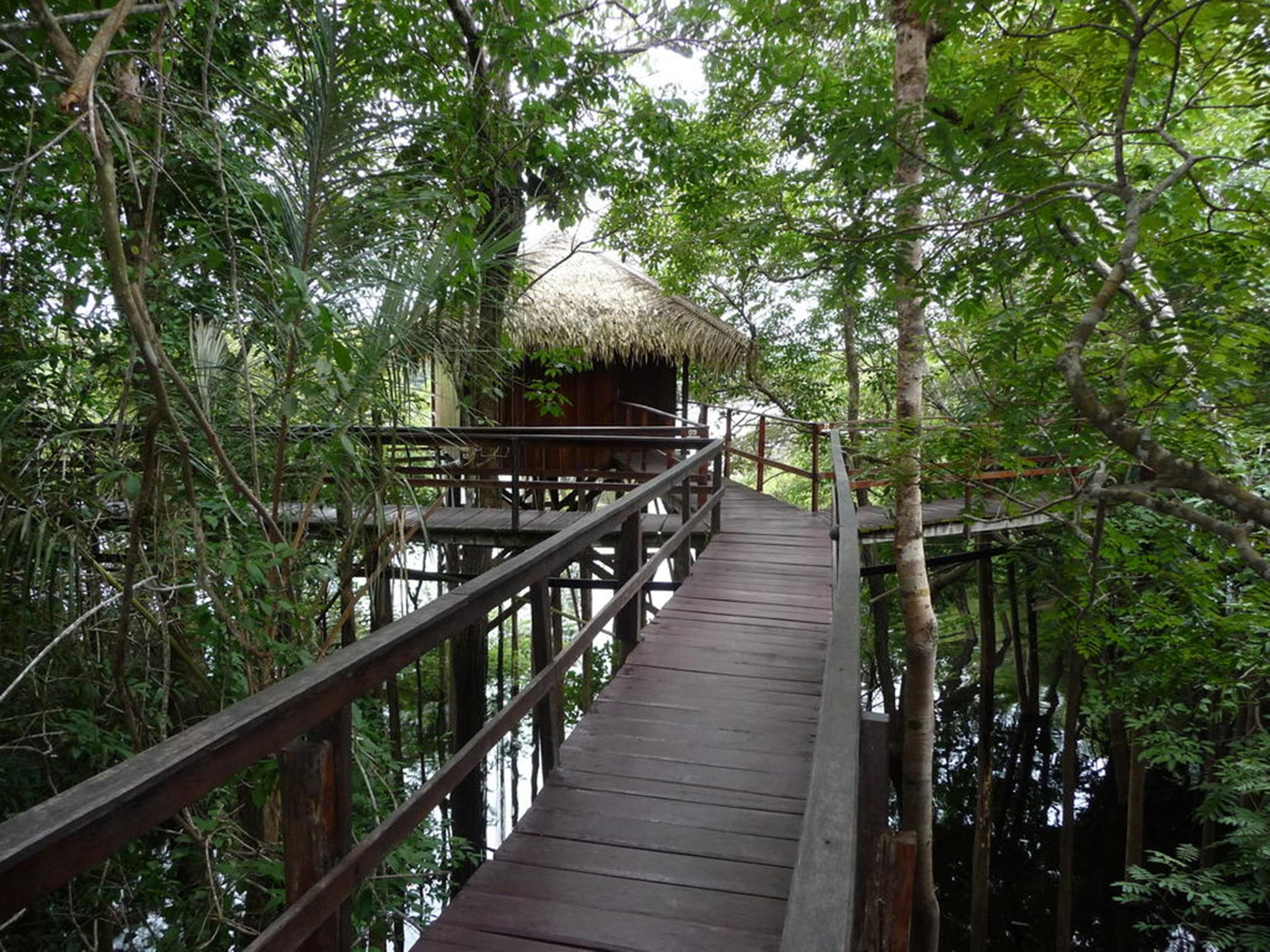 Juma Amazon Lodge Autazes Exterior photo